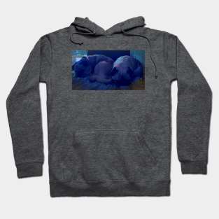 Sleeping Pugs Hoodie